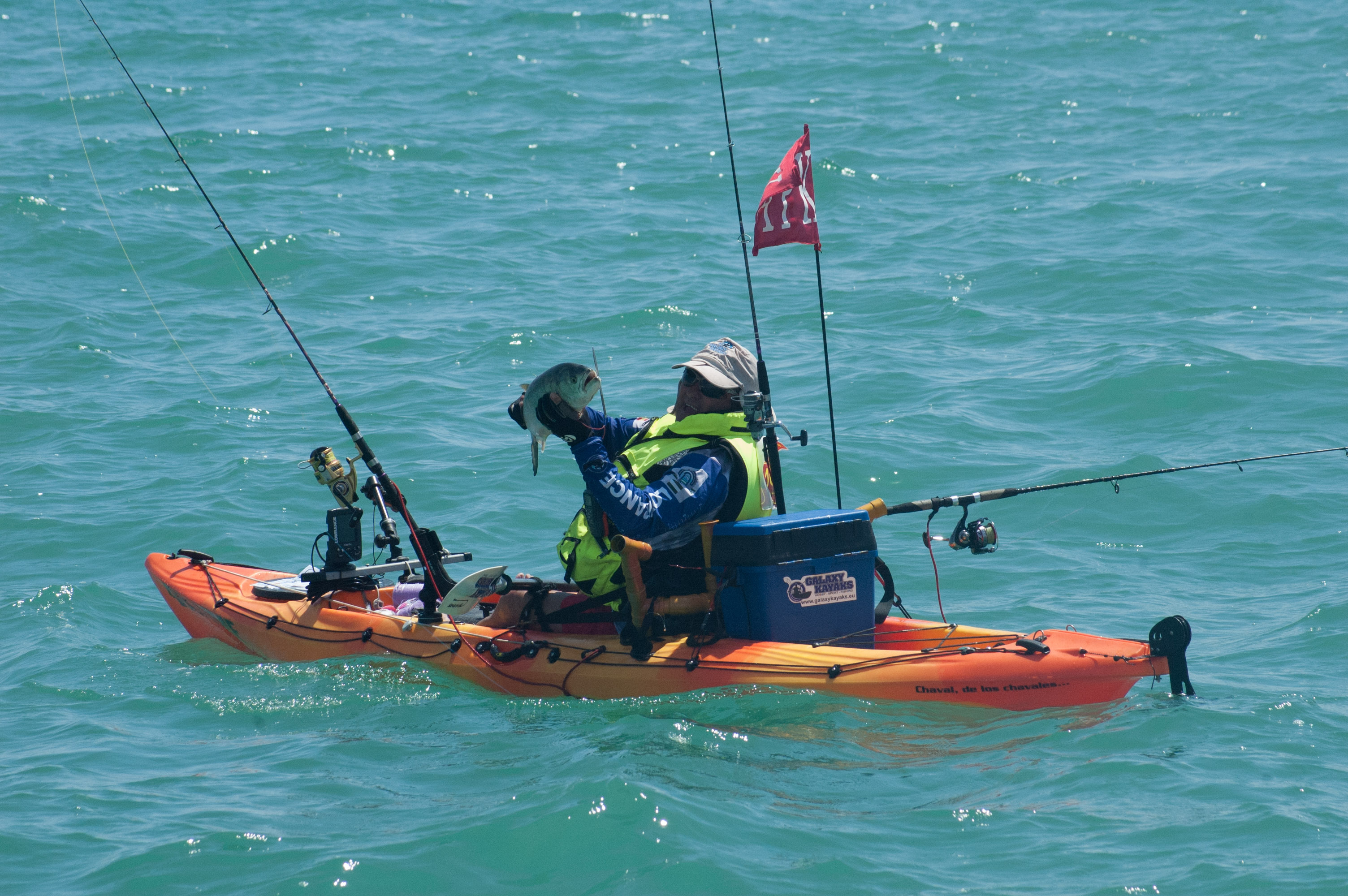 Rodeo Mantenimiento cache Qué kayak comprar para pescar en el mar [2022]